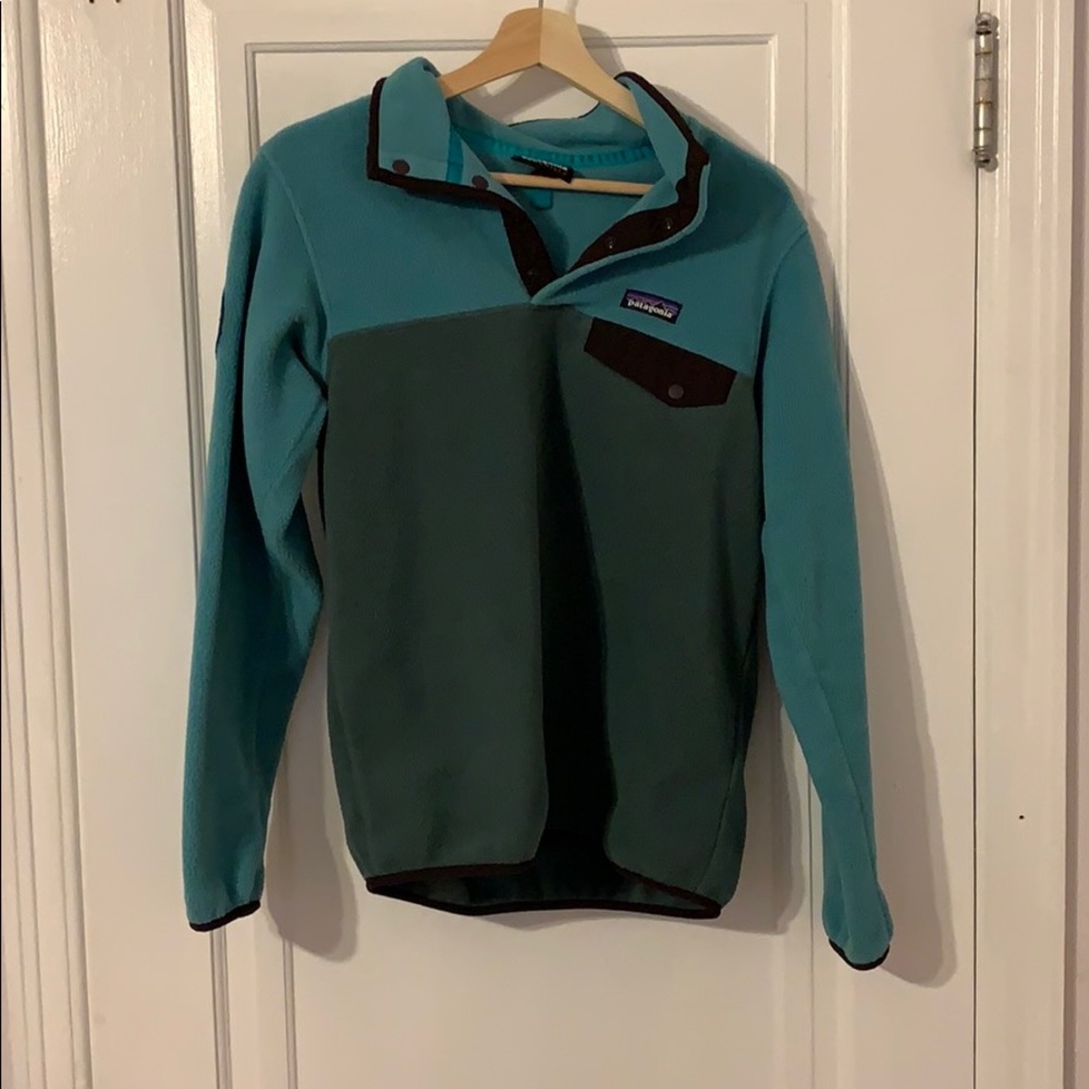 Patagonia Synchilla Snap Fleece